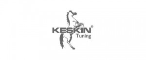 Keskin
